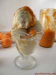Creamy Apricot Ice Cream