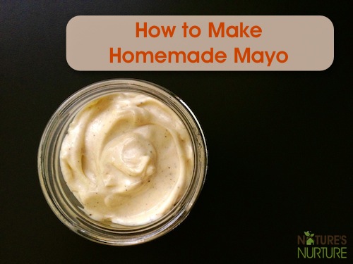 Nature's Nurture Homemade Mayonnaise