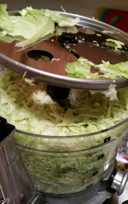 Head of cabbage sliced in food processor